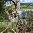 images/Impressionen/Gruenpilgern_Collage00.jpg