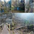 images/Impressionen/Gruenpilgern_Collage05.jpg