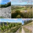 images/Impressionen/Gruenpilgern_Collage06.jpg