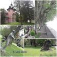 images/Impressionen/Gruenpilgern_Collage07.jpg