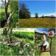 images/Impressionen/Gruenpilgern_Collage08.jpg